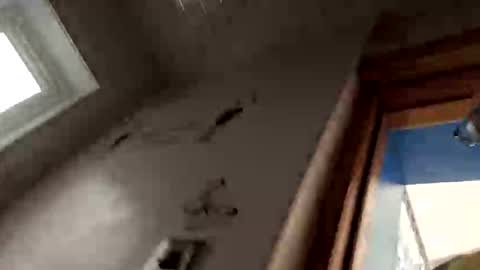 211skoosh online show from October 20, 2:32 pm