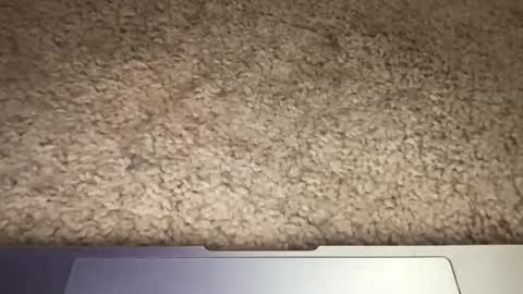 3dging_sub online show from March 13, 3:25 am