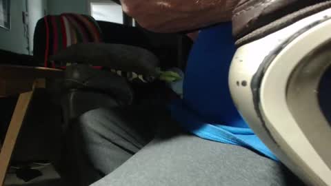 _jimmini online show from April 18, 7:58 pm