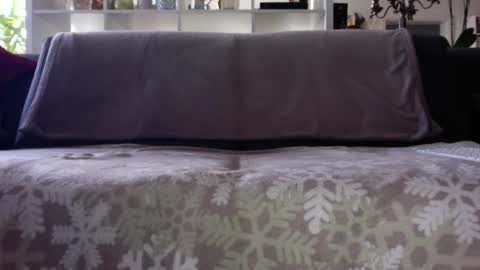 a_nice_dick_77 online show from December 2, 8:06 am