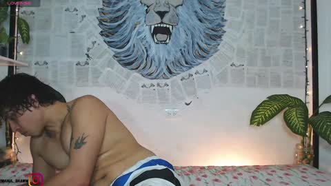 Manul online show from December 31, 1:15 am