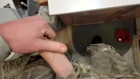 Snapshot of acemcdade chatting on December 21, 2:15 pm Ace online show from December 21, 2:15 pm