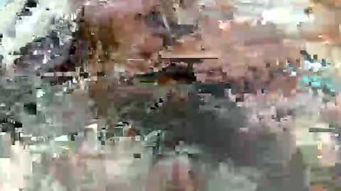 acergod367003 online show from November 2, 8:07 am