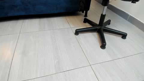 adbel sady online show from December 27, 11:06 am