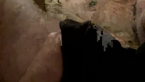 aerofloteria online show from February 8, 2:36 am