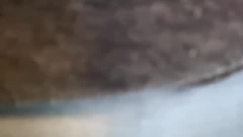 aj297914 online show from February 17, 3:16 am