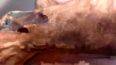 Snapshot of alexfan141 chatting on February 21, 9:34 am alexfan141 online show from February 21, 9:34 am