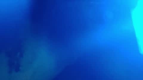 alienboy3600 online show from January 15, 9:13 am