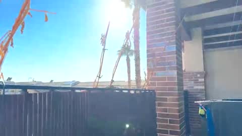 Alphadick33 online show from March 15, 4:02 pm