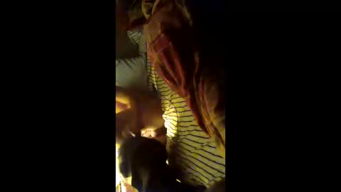 alwayshard22221981 online show from December 5, 12:01 pm