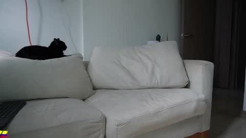 my onlyfans     online show from March 28, 7:36 pm