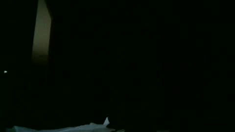 Snapshot of apixaba chatting on March 9, 8:21 pm furry bear online show from March 9, 8:21 pm