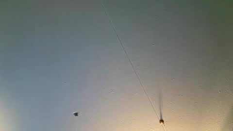 argonianthief online show from December 7, 8:55 am