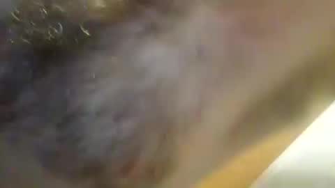 Snapshot of automotivtech chatting on January 11, 9:04 am Pluke online show from January 11, 9:04 am