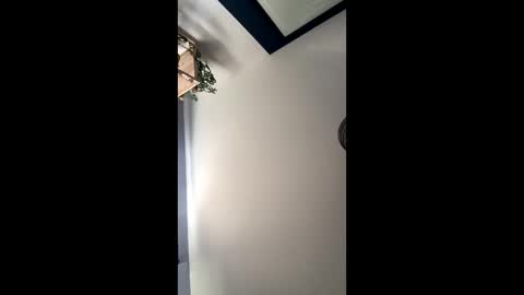 averagebar online show from November 1, 3:05 pm