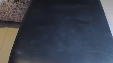 baker305 online show from October 30, 2:46 am