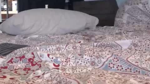 Snapshot of baker305 chatting on September 29, 4:11 am baker305 online show from September 29, 4:11 am