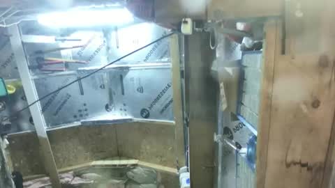 nevametafreaklikemeb4 online show from January 13, 5:06 pm