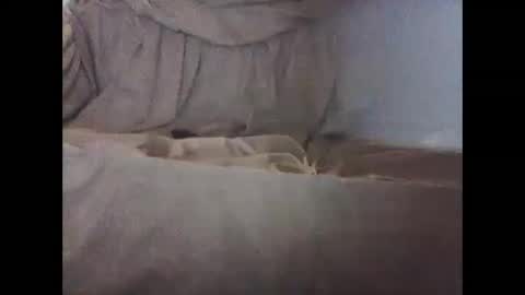 barrysand online show from October 4, 10:31 am