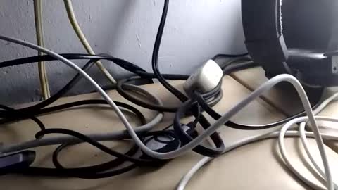 batibionhi online show from November 20, 6:29 pm