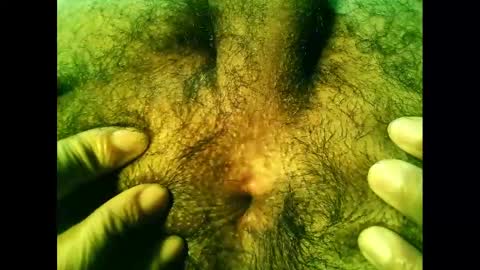 bayfall online show from December 14, 10:28 pm