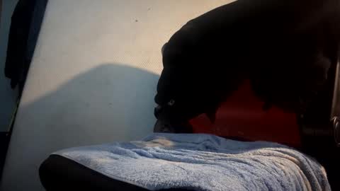 ...Xtfer online show from January 25, 12:17 am