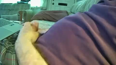 Snapshot of bcema2 chatting on September 26, 5:43 pm bcema2 online show from September 26, 5:43 pm