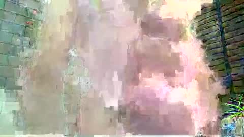 Darrel online show from November 15, 12:29 pm