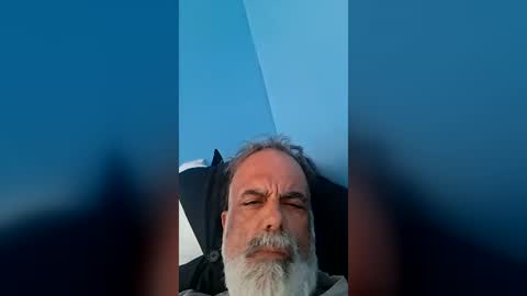 Bear online show from July 28, 11:04 pm