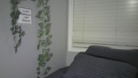 Ben online show from February 5, 11:34 am