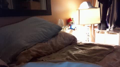 bidaddy83 online show from September 25, 9:30 am