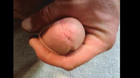 big7mushroom online show from March 6, 6:19 am