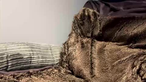 BigBoi online show from October 24, 10:44 pm