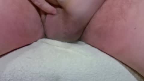 BigDog online show from December 1, 3:15 pm