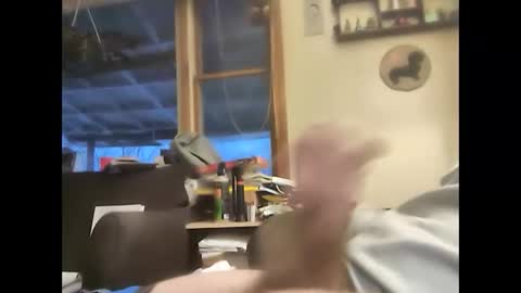 bigelectricrod online show from February 1, 11:54 am