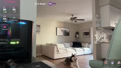 Nick Barker online show from October 12, 12:04 am