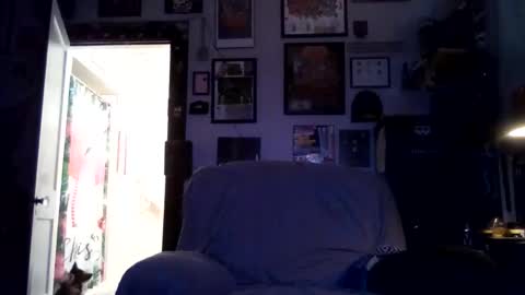 billygunn13 online show from January 7, 11:43 pm