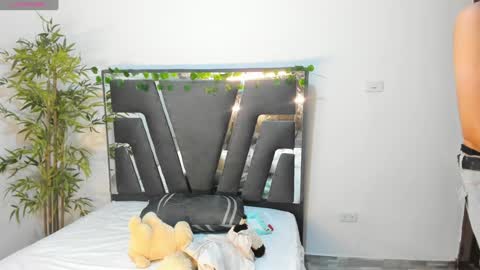 B L A C K  R O S E  online show from February 1, 11:43 am