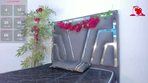 B L A C K  R O S E  online show from February 19, 11:28 am