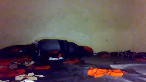 blake online show from January 17, 5:05 pm