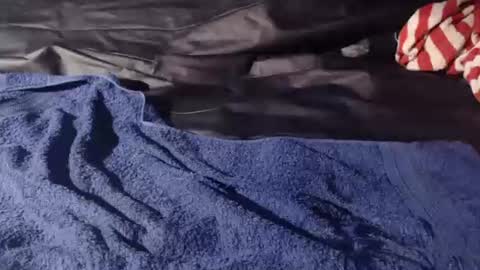 Bomm65 online show from November 19, 3:12 pm