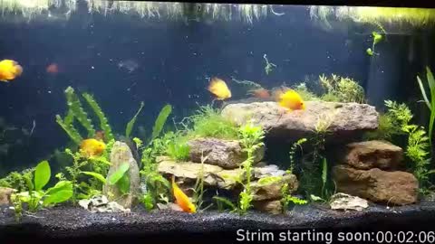 Booker Baxton online show from December 19, 4:09 am