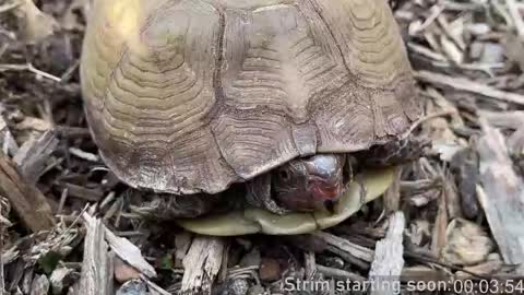 Booker Baxton online show from April 1, 3:08 am