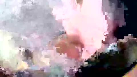 bossram160 online show from September 18, 9:17 pm