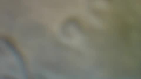 bradynoggle online show from September 11, 2:54 am