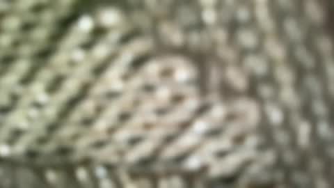 brandonconrad online show from February 7, 6:46 pm