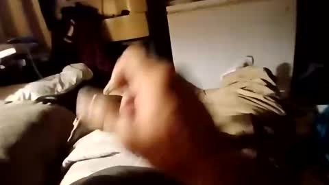 bre55tt online show from March 4, 6:53 am