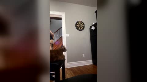 bricks808 online show from March 10, 12:22 pm