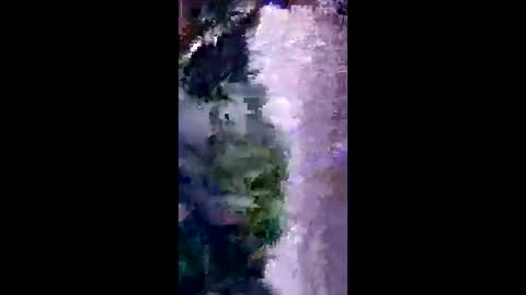 britzchris online show from March 3, 10:11 am