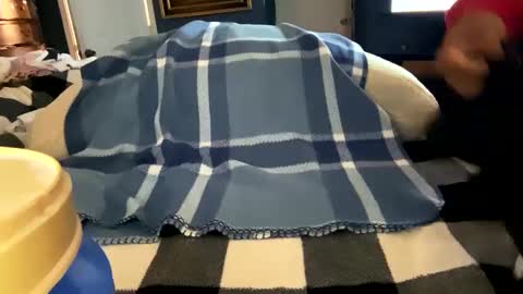 brownbootie1 online show from February 27, 3:37 pm